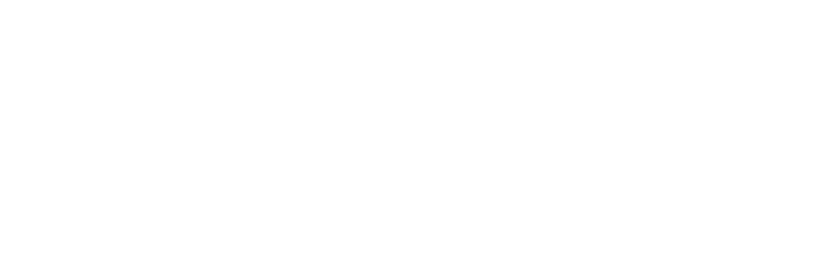 OrbiSky Logo